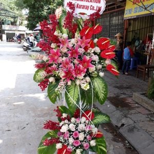 Hoa Khai Trương KT11