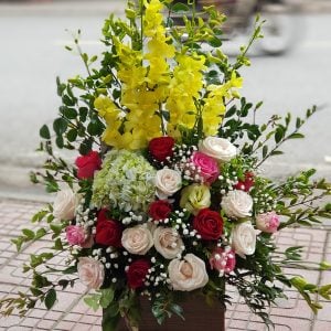 Hoa chúc mừng CM16
