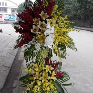 Hoa Khai Trương KT12
