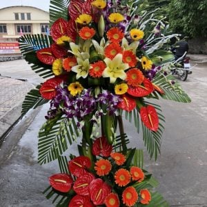 Hoa Khai Trương KT10