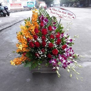 Hoa chúc mừng CM36