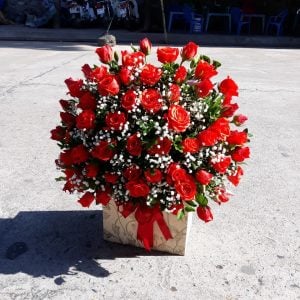 Hoa chúc mừng CM31