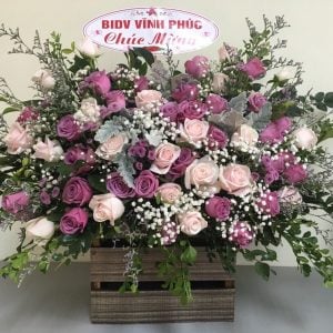 Hoa chúc mừng CM28