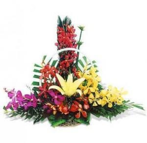 Hoa chúc mừng CM12