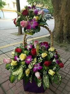 Hoa chúc mừng CM8