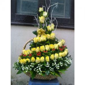 Hoa chúc mừng CM7