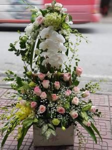Hoa chúc mừng CM4