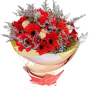 đặt mua hoa sinh nhật ở thái bình