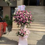 Hoa khai trương KT19